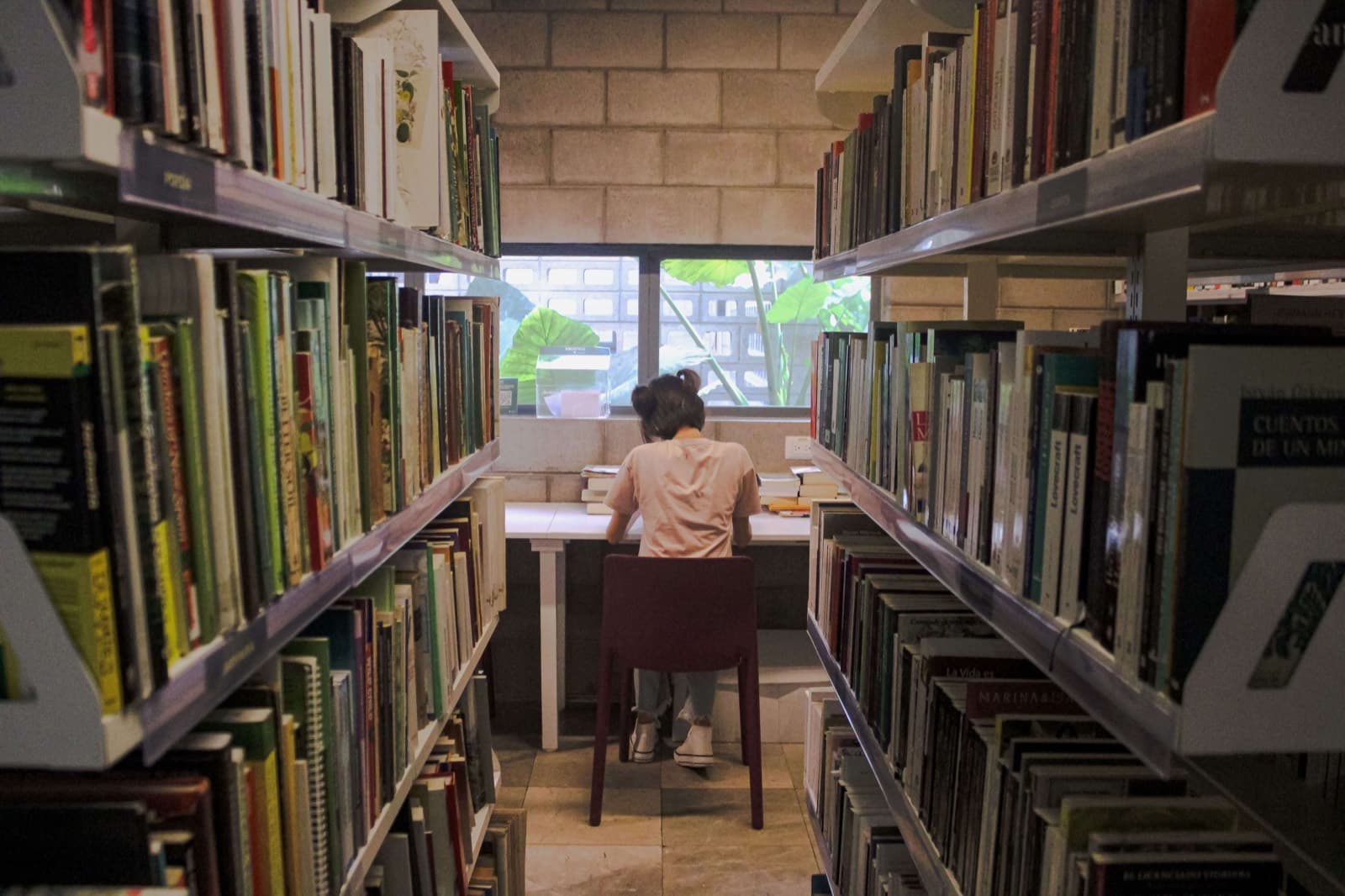 A student working at a desk framed by two rows of library shelving